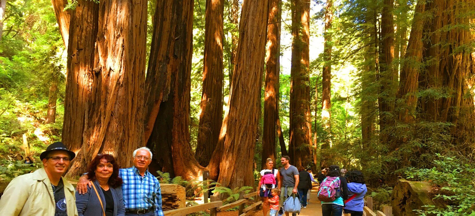 Muir Woods-National-Monument-guide.jpg